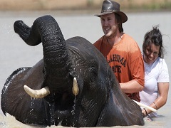 Adventure with Elephants